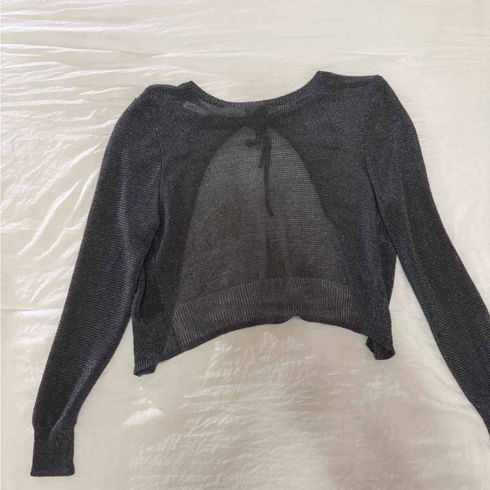 Zara Metallic Gray Knit Top